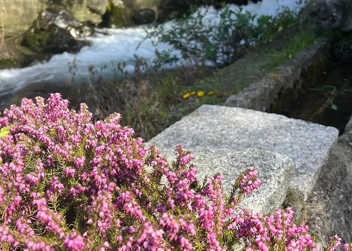 Il Mulino Di Aurora Apartment Nesso
